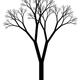 Illustration for article titled What Are Fractals, And Why Should I Care?